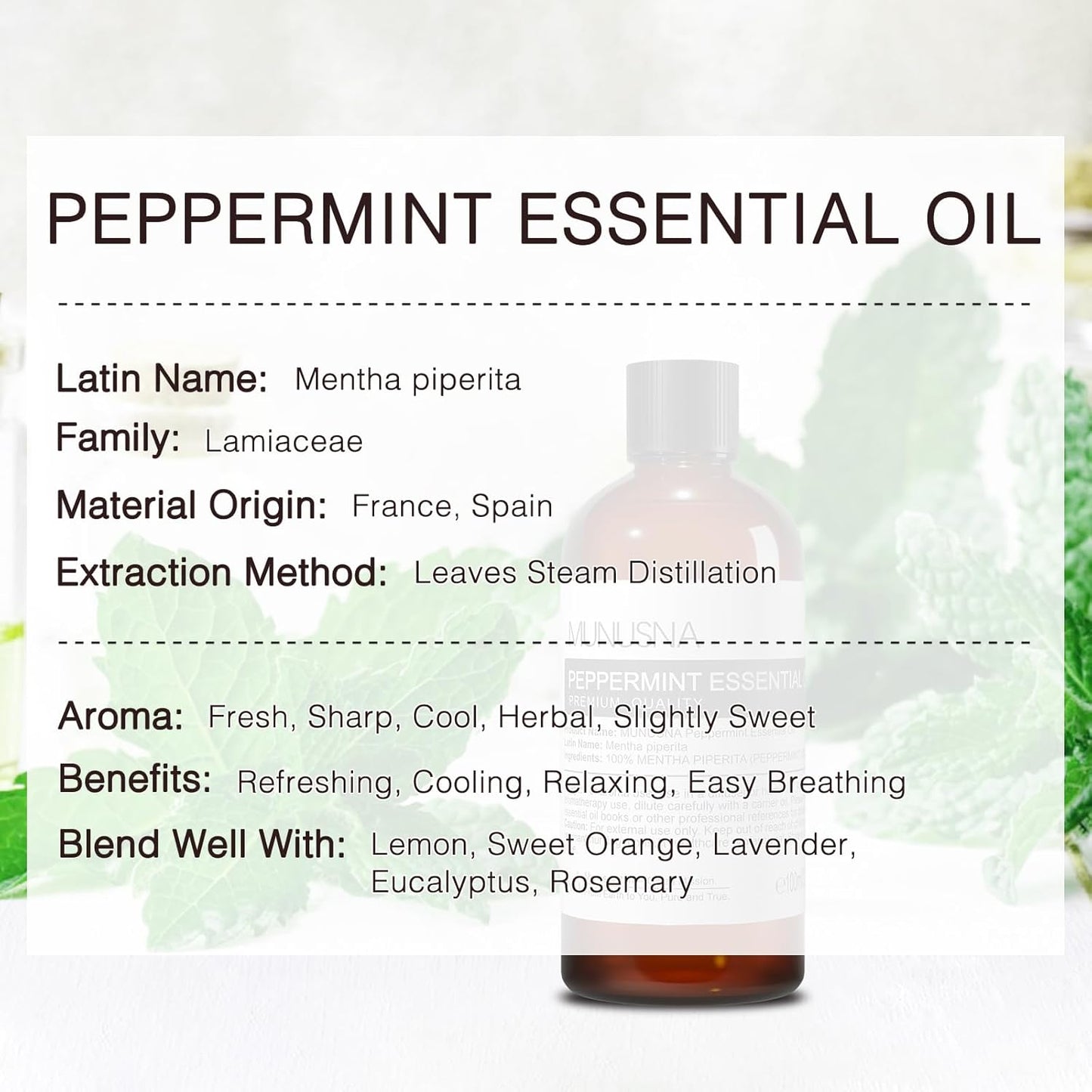 Peppermint Essential Oil - 100ML (3.38 Fl Oz) | Pure and Natural for Hair Care, Aromatherapy, Skin Massage, Home Fragrance, and DIY Projects