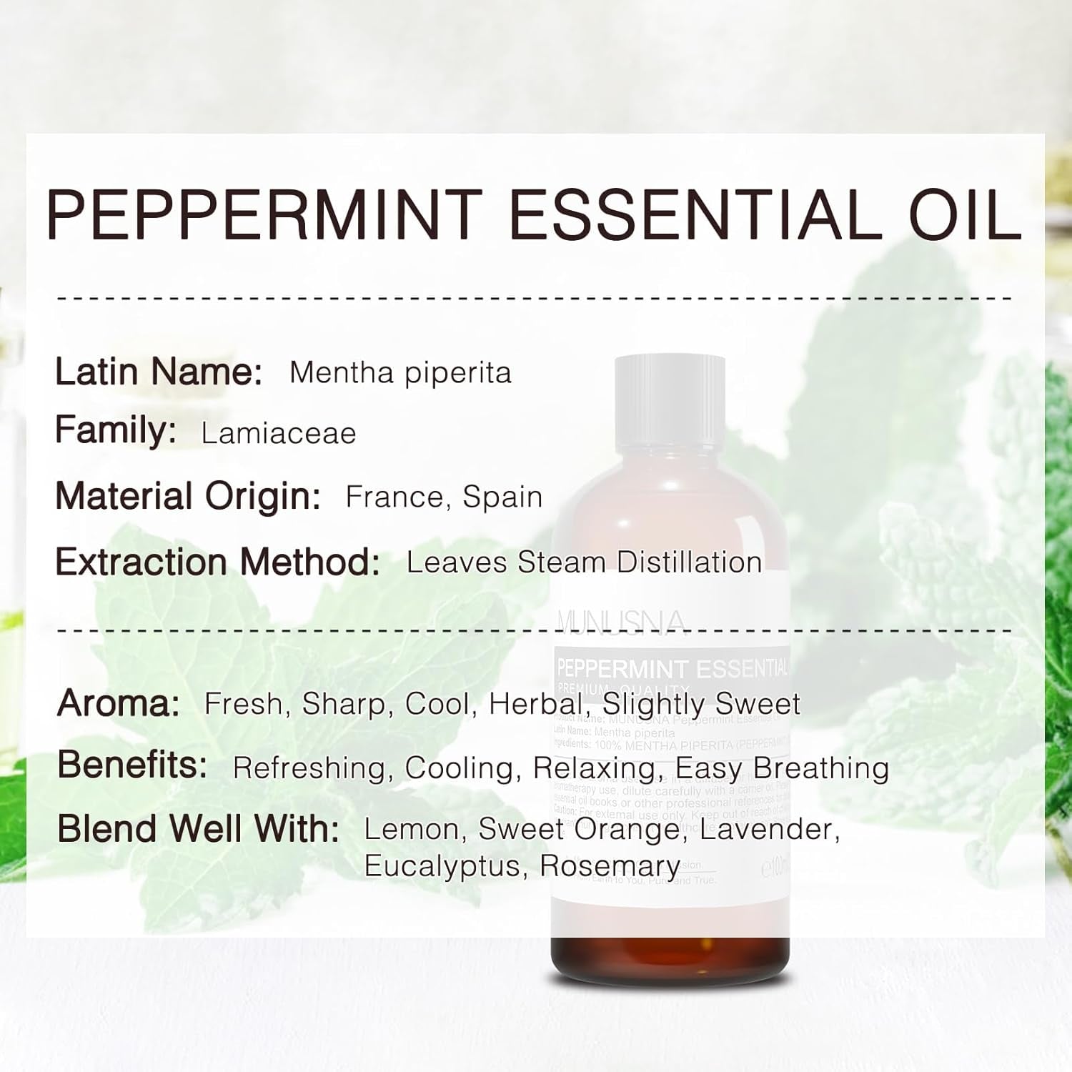 Peppermint Essential Oil - 100ML (3.38 Fl Oz) | Pure and Natural for Hair Care, Aromatherapy, Skin Massage, Home Fragrance, and DIY Projects
