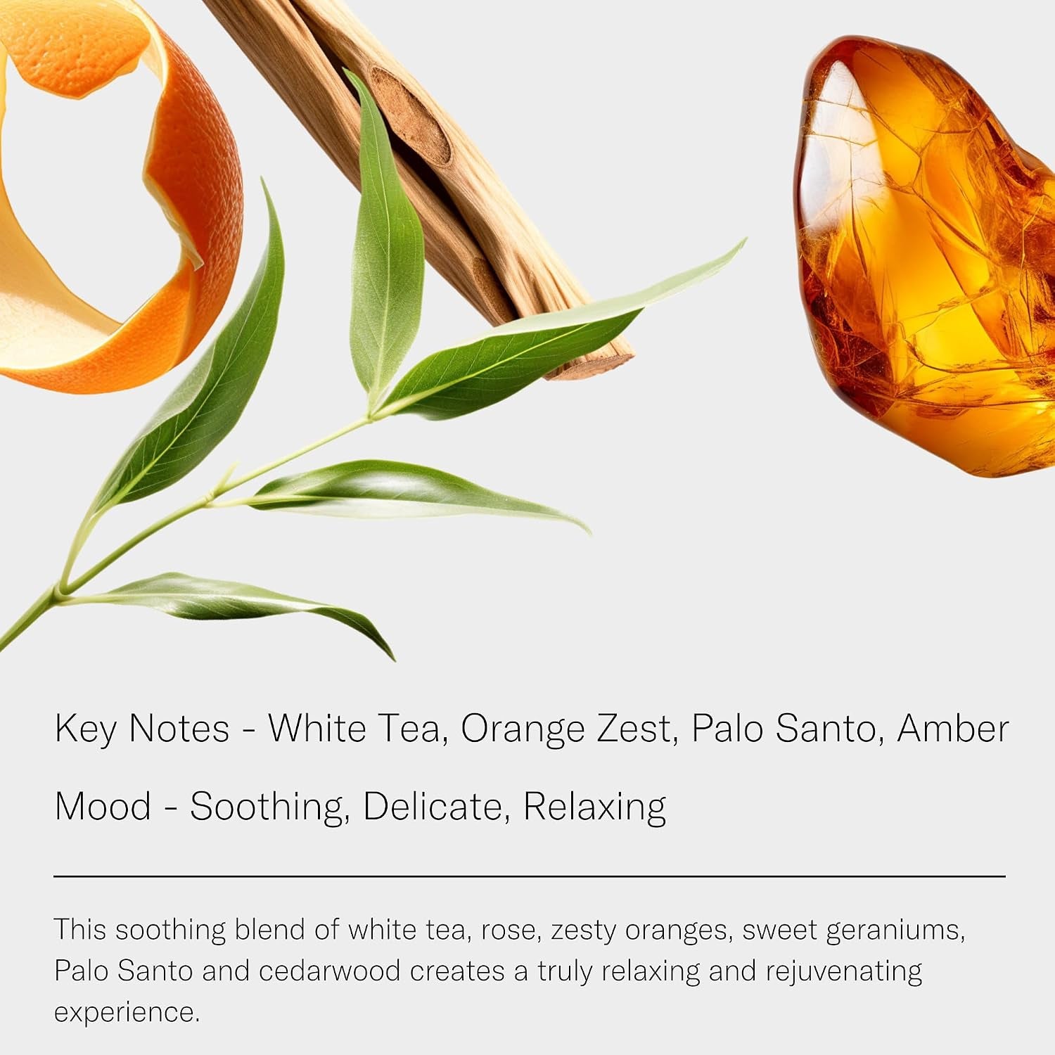 White Tea Aroma Essential Oil Blend: Luxury Hotel Inspired Aromatherapy with White Tea, Orange & Palo Santo for Ultrasonic Diffusers & Nebulizers (10 Ml)